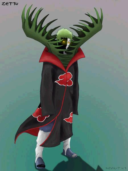 zetsu 